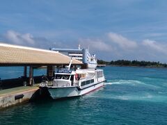 今回は船に乗りませんが海と船を見たくて港に行ってみました。