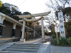 小動神社

腰越駅のすぐ近く、海に突き出た小動山に建つ小動神社。
かつて風なくても美しくゆらぐ松があったことから小動（こゆるぎ）と名がついたといいます。
