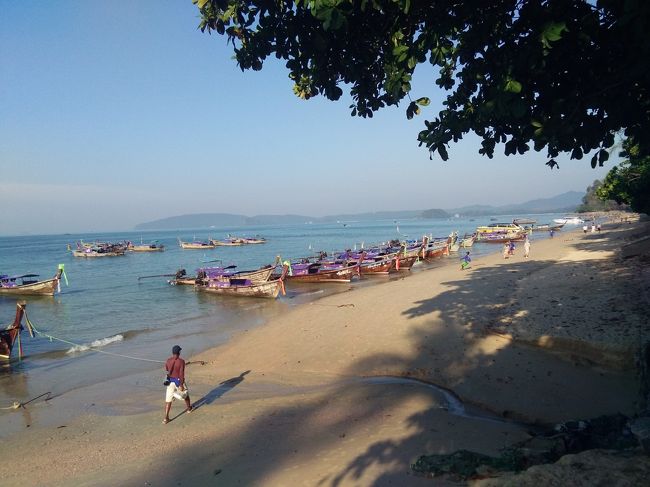 さすがのハイシーズン。ボートの数も多いですね。