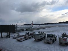 日本海側と北海道は荒れ模様の予報。ということで、秋田便は羽田空港に引き返す可能性ありの条件付き運行となったものの、午前中は天気がそれほど崩れることもなくほぼ定刻に到着