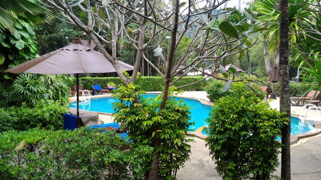 適度に木陰になっているので、この時間でも快適