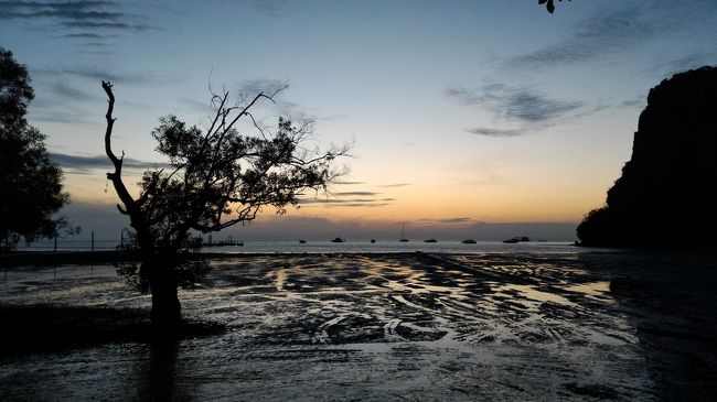 最終日の朝を迎えます。早起きしました。