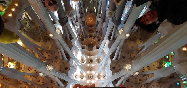 これ実は下から天井にカメラを向けての撮影ではありません。<br /><br />キレイな大鏡が置いてあって、覗き込むとこのように見えるんです。<br /><br />そこでパチリと撮っています。<br /><br />建物が大きいので、ずーっと上を向きっぱなしで、かなり首が疲れますので、<br /><br />こういった配慮はとてもありがたいです。<br /><br />この独特な建物構造。<br /><br />さまざまな意味を持っていて、強度もちゃんと計算されています。<br /><br />なぜガウディが、このような偉業を成し得たのか？<br /><br />それは、グエル低やカサ・ミラに行くと良く分かります。<br /><br />初めにここに来たので、ただただ感動しまくりでした。
