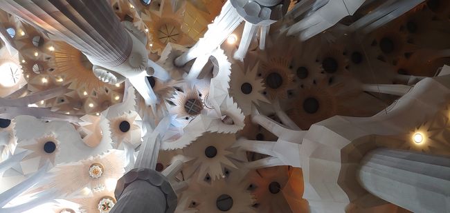 さらに上を見ながら、異空間を堪能します。<br /><br />ココは、複雑に重なり合っていて面白い。<br /><br />建築関係の方だと、もっと面白く感じるのかな？