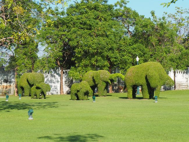 お庭は象の形をした植木が