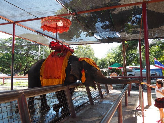 最後は象乗り場へ