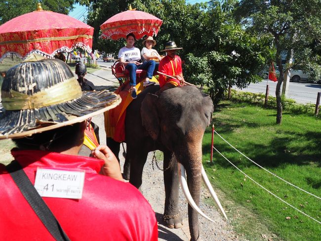 象に乗って少しの距離を歩きます
