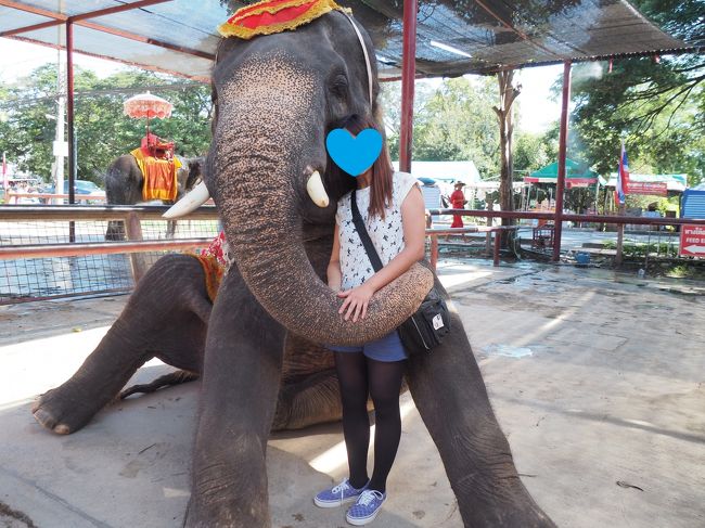 最後は象と写真を撮ってもらいました（有料）<br /><br />このあと、バスでバンコクのホテルへ送ってもらいました
