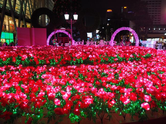 バラでキラキラ。