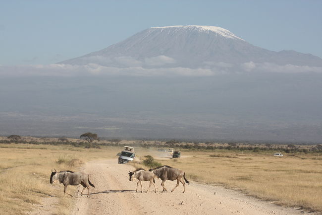 キリマンジャロとヌー