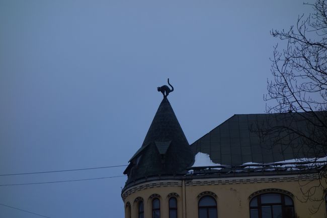 猫の家。<br />今は商工会議所の方を向いています。