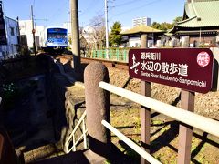 三島広小路駅から歩いてすぐのところを流れています源兵衛川にやって来ました