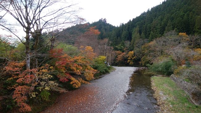 鳥居観音の紅葉 飯能 埼玉県 の旅行記 ブログ By まんごさん フォートラベル