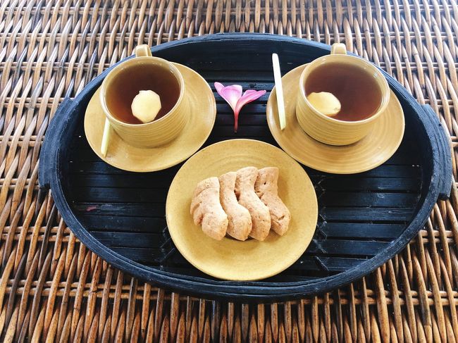 最後に、ジンジャーティーとジンジャークッキーをいただきました。このクッキーが美味しくて、買って帰りたいくらいでした。<br /><br />サヌールではカユマニスの他にも、「The Nest Boutique Spa」や「Koa Boutique Spa」でマッサージを受けましたが、どこも良質で大満足でした。特にNestとKoaは安いです！