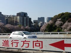 帰り道、渋滞中の首都高速から千鳥ヶ淵の桜が見えました。