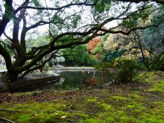 宮崎神宮庭園