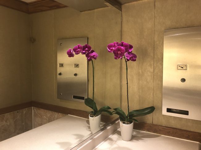 台湾で仕入れたミニ胡蝶蘭が、トイレに<br /><br />こーゆー丈の高いのは、、、安い！<br /><br />台湾の蘭の値段って、メチャ安いのに、ケチってんな～～