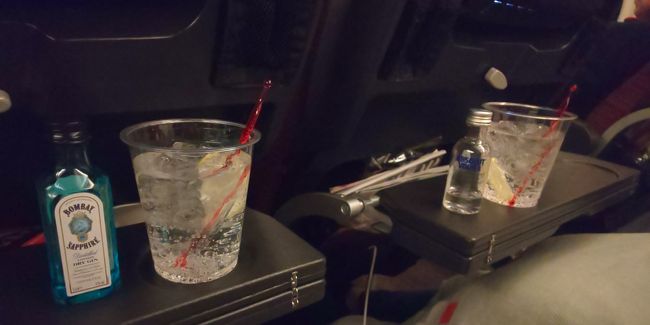 搭乗しました。寝酒に私はジントニック、Ｅちゃんはウォッカトニックを頂き、アイマスクをして眠りにつきます。Zzz