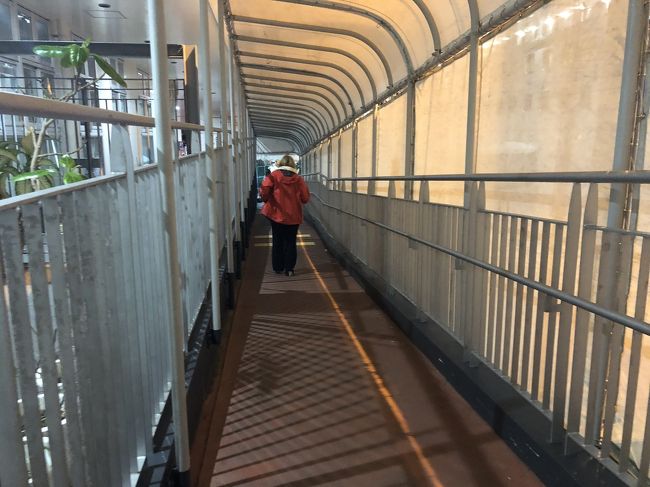 こんなの通って