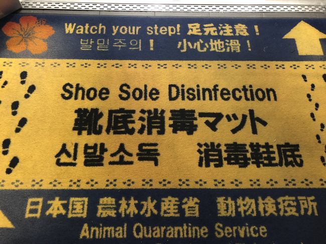 農水省のマット