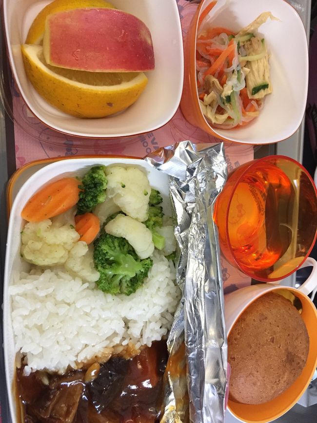 中華風菜食メニュー<br />リピート★★★