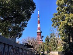 今度こそ東京タワー！
近くで見てみたかったんです。

だんだん近づいてきて嬉しくなります。