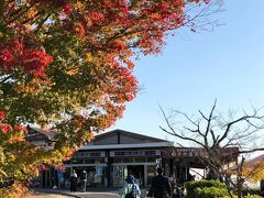 紅葉が美しくなる季節

今週も素晴らしい青空だった。