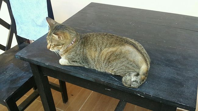 食っちゃ寝ですね！