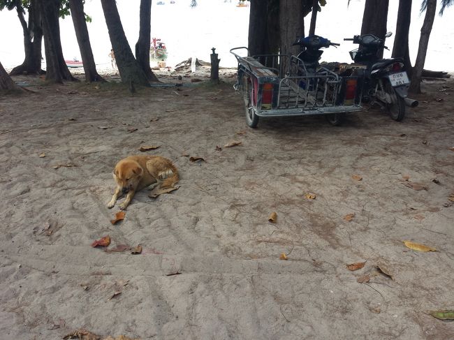 数分でサンセットビーチ入口に到着