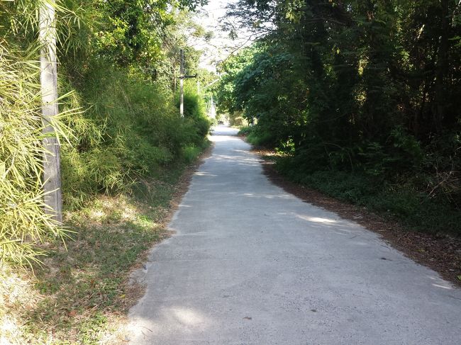 15時近く疲れてしまい、部屋へ戻ります。<br />帰りはやはり歩いて。