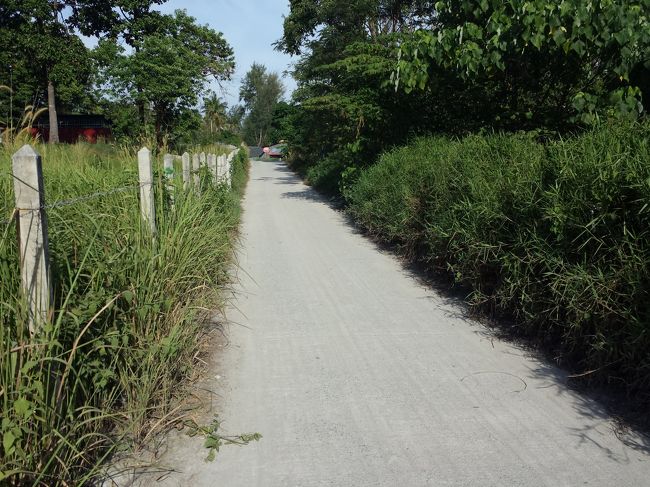 のどかですねー