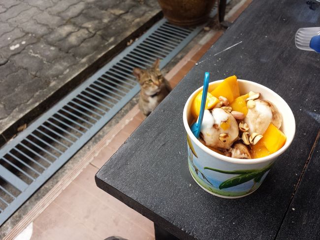 お持ち帰りしました。