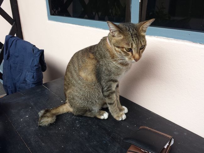 待ってかのようにやっぱりおる！笑