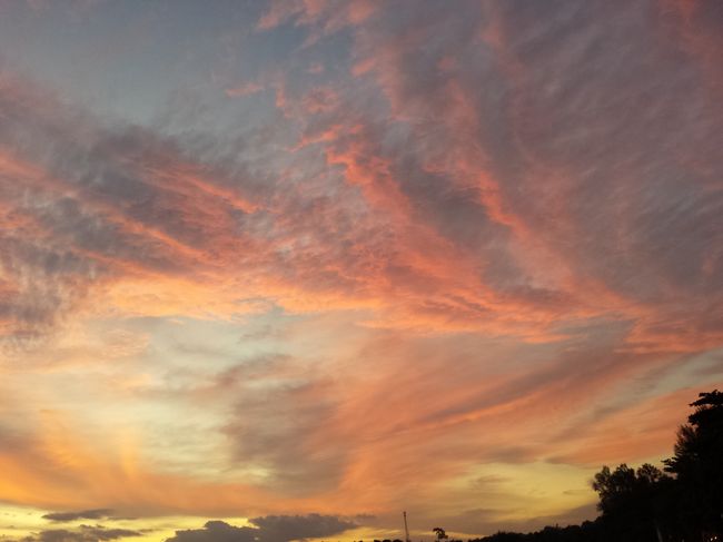 あー綺麗だわー