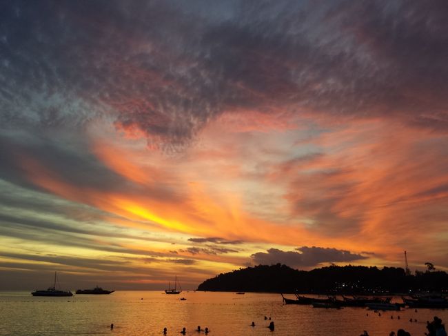 南国リゾート満喫中