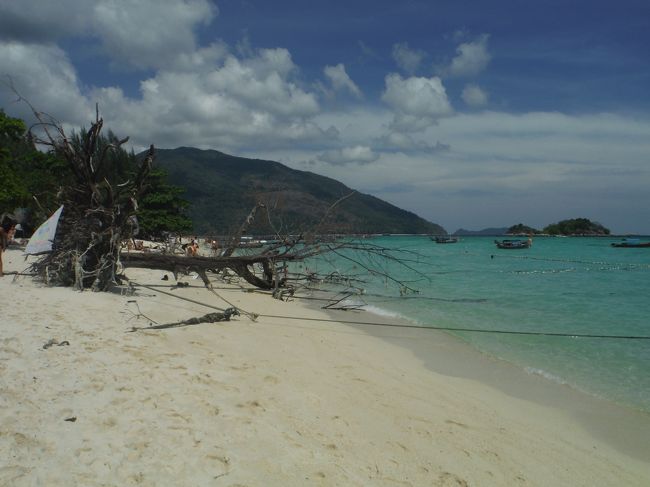 目印の倒木を左へ