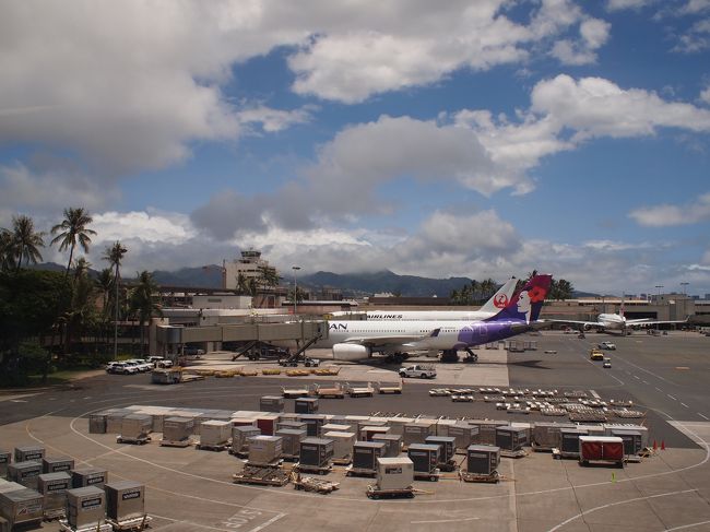 コンタクトレンズの事件があったせいで、ほとんど眠らぬまま、ほぼ予定通りの13:00前にホノルルに到着しました。<br /><br />無事に到着してくれて良かった(^-^)
