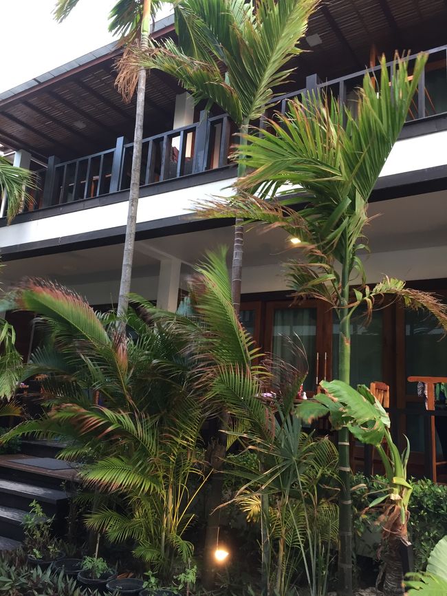 2階建ての建物が2棟、中庭をはさんで向かい合っています。各部屋にはベランダから出入りします。私たちの部屋は北側の棟の2階でした。