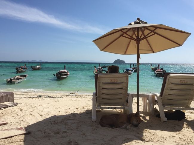 ビーチに出たところにパラソルと椅子があり、ホテルの宿泊者は自由に使うことができます。日陰には必ずひとり歩きのワンコ（この子は首輪をしているので、ホテルで飼われているのかな？）が寝ています。
