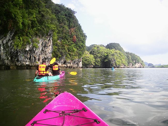 2日目にはマングローブをカヤックで回るツアーに参加！海からマングローブへ。