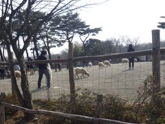 那須高原 南ヶ丘牧場