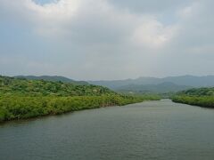 本日は西表島大原港から。台風接近で上原港行きと鳩間行きは欠航でした。自転車で島をふらふらします