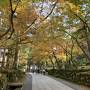 201811-03_永平寺と東尋坊　Eiheiji Temple and Tojinbo (Fukui)