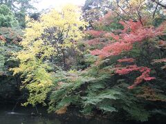 尾山神社の紅葉