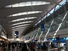 むっちゃ久しぶりにANAでの旅。慣れないのでアウェー感が