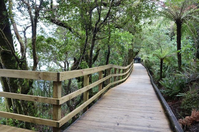 駐車場からはこの道を歩いて行くとターミナルにつきます。