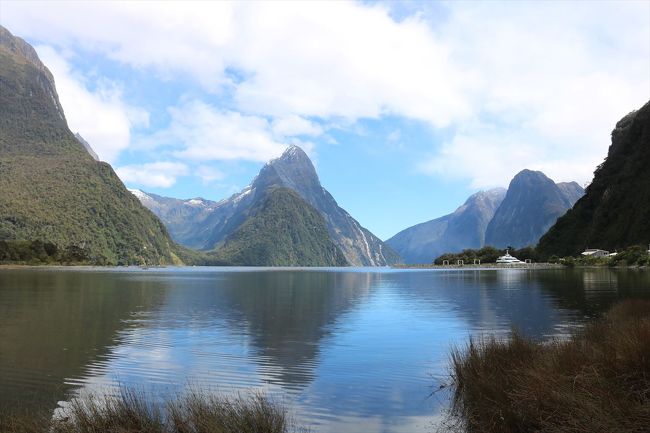 駐車場近くのビューポイントから見た見るフォードサウンド。<br />鏡のように水面に映ってます。