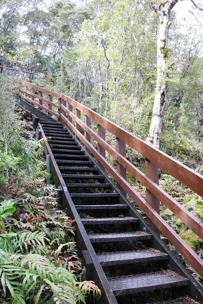 ビジターセンターの裏手にあるビューポイントへ続く階段