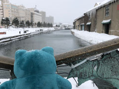 小樽運河を眺めるちびカビちゃん

ステキな景色だけどよ、さ、寒いじぇ