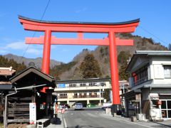 榛名神社大鳥居「歓迎ゲート」。ピンボケ。電池が点滅していたからかな？